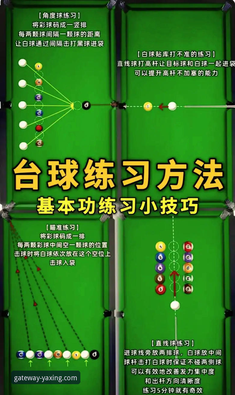 广东逆转宁波战术复盘：亚星娱乐平台用户郑浩的观赛体验与操作教程